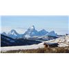 Image 3 : 5-Day Elk Hunt for One Hunter in Western Wyoming - Includes Trophy Fee