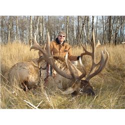 3-Day Elk Hunt for One Hunter in Canada - Includes Trophy Fee