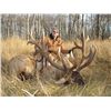 Image 1 : 3-Day Elk Hunt for One Hunter in Canada - Includes Trophy Fee