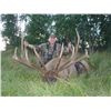 Image 2 : 3-Day Elk Hunt for One Hunter in Canada - Includes Trophy Fee