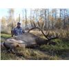 Image 3 : 3-Day Elk Hunt for One Hunter in Canada - Includes Trophy Fee