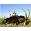 Image 1 : 7-Day Sable Bull Hunt for One Hunter and One Non-Hunter in South Africa - Includes Trophy Fee
