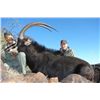Image 8 : 7-Day Sable Bull Hunt for One Hunter and One Non-Hunter in South Africa - Includes Trophy Fee