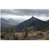 Image 1 : 6-Day Management Elk Hunt for One Hunter in the Hualapai Reservation in Arizona