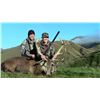 Image 1 : 5-Day Stag and Fallow Buck Hunt for Two Hunters in New Zealand - Includes Trophy Fees