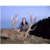 Image 3 : 5-Day Stag and Fallow Buck Hunt for Two Hunters in New Zealand - Includes Trophy Fees