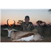 Image 1 : CREDIT Toward 10-Day Plains Game Hunt for One Hunter and One Non-Hunter in Namibia - Includes Trophy