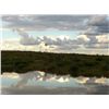 Image 2 : CREDIT Toward 10-Day Plains Game Hunt for One Hunter and One Non-Hunter in Namibia - Includes Trophy
