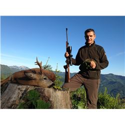 4-Day Roe Buck Hunt for One Hunter and One Non-Hunter in Austria - Includes Trophy Fee
