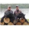 Image 1 : 5-Day Black Bear Hunt and Unlimited Fishing Trip for One Hunter in Ontario