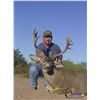 Image 1 : 4-Day Coues Deer Hunt for One Hunter in Hermosillo, Mexico