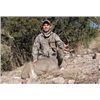 Image 2 : 4-Day Coues Deer Hunt for One Hunter in Hermosillo, Mexico