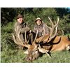 Image 1 : 7-Day Big Game Hunt for Two Hunters in Argentina - Includes Trophy Fees