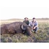 Image 3 : 7-Day Big Game Hunt for Two Hunters in Argentina - Includes Trophy Fees