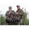Image 2 : 3-Day High Volume Duck, Dove, Pigeon and Perdiz Hunt with Optional Dorado Fishing for Two Hunters In