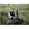 Image 1 : 4-Day Wild Boar and Wingshooting Hunt for Two Hunters in Argentina- Includes Trophy Fees
