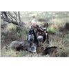 Image 4 : 4-Day Wild Boar and Wingshooting Hunt for Two Hunters in Argentina- Includes Trophy Fees