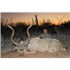 Image 1 : 4-Day Plains Game Hunt for One Hunter and One Non-Hunter in Botswana on Private Land - Includes Trop