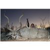 Image 3 : 4-Day Plains Game Hunt for One Hunter and One Non-Hunter in Botswana on Private Land - Includes Trop
