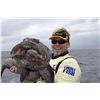 Image 3 : 4-Night / 3-Day All-Inclusive Lodging & Fishing Package For Two Anglers in Alaska
