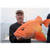 Image 4 : 4-Night / 3-Day All-Inclusive Lodging & Fishing Package For Two Anglers in Alaska