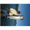Image 5 : 4-Night / 3-Day All-Inclusive Lodging & Fishing Package For Two Anglers in Alaska