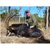 Image 1 : 10-Day Sable and Plains Game Hunt for One Hunter and One Non-Hunter in Zambia - Includes Trophy Fee