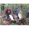 Image 1 : 11-Day Trophy Moose Adventure for One Hunter in the Yukon - Includes Trophy Fee
