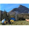 Image 2 : 11-Day Trophy Moose Adventure for One Hunter in the Yukon - Includes Trophy Fee