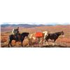 Image 4 : 11-Day Trophy Moose Adventure for One Hunter in the Yukon - Includes Trophy Fee