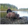 Image 2 : 30+Day Alaskan Grand Slam Big Game Hunt for One Hunter