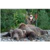 Image 3 : 30+Day Alaskan Grand Slam Big Game Hunt for One Hunter