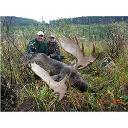 8-Day Moose Hunt for One Hunter in British Columbia