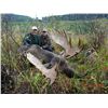 Image 1 : 8-Day Moose Hunt for One Hunter in British Columbia