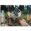 Image 3 : 8-Day Moose Hunt for One Hunter in British Columbia