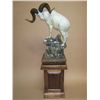 Image 1 : "Ivory King" - Dahl Sheep Sculpture in Bronze By Sam Terakedis