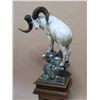 Image 2 : "Ivory King" - Dahl Sheep Sculpture in Bronze By Sam Terakedis