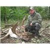 Image 1 : 5-Day Fallow Deer Hunt for Two Hunters in Austria - Includes Trophy Fee