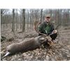 Image 2 : 5-Day Fallow Deer Hunt for Two Hunters in Austria - Includes Trophy Fee