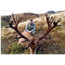5-Day Red Stag and Fallow Deer Hunt for One Hunter and One Non-Hunter in New Zealand - Includes Trop