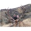 Image 2 : 5-Day Red Stag and Fallow Deer Hunt for One Hunter and One Non-Hunter in New Zealand - Includes Trop