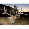 Image 1 : 5-Day Whitetail Hunt for One Hunter in Wisconsin - Includes Trophy Fee
