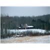 Image 2 : 5-Day Whitetail Hunt for One Hunter in Wisconsin - Includes Trophy Fee