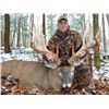 Image 4 : 5-Day Whitetail Hunt for One Hunter in Wisconsin - Includes Trophy Fee