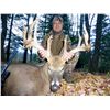 Image 5 : 5-Day Whitetail Hunt for One Hunter in Wisconsin - Includes Trophy Fee