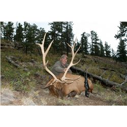 3-Day/4-Night Elk Hunt for One Hunter and One Non-Hunter in Colorado - Includes Trophy Fee