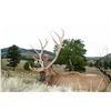Image 4 : 3-Day/4-Night Elk Hunt for One Hunter and One Non-Hunter in Colorado - Includes Trophy Fee