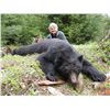 Image 1 : 5-day 1x1 Vancouver Island Black Bear Hunt for One Hunter - Includes Trophy Fee