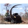 Image 1 : 10-Day Sable Hunt for One Hunter and One Non-Hunter in Mozambique - Includes Trophy Fee