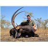 Image 5 : 10-Day Sable Hunt for One Hunter and One Non-Hunter in Mozambique - Includes Trophy Fee